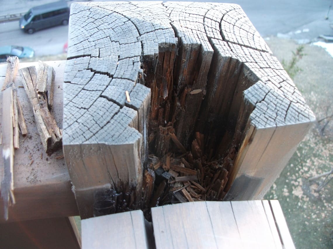 pourrissement du bois