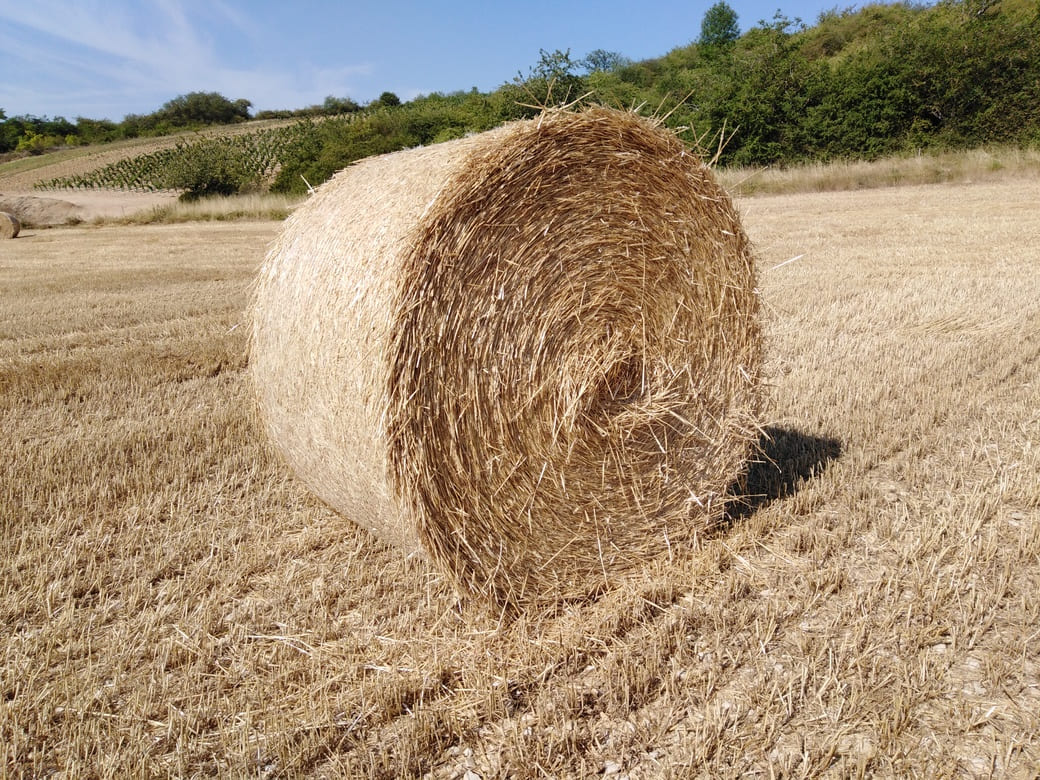 Paille pour isolation