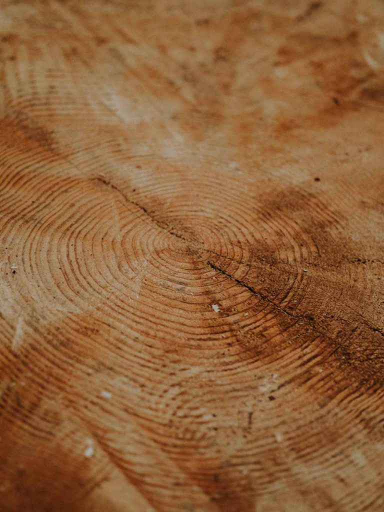 Essence de bois